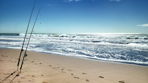 combo pesca - Imagen 3